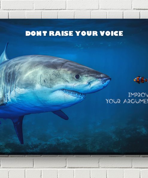 Don't raise your voice - Improve your argument - Image 3