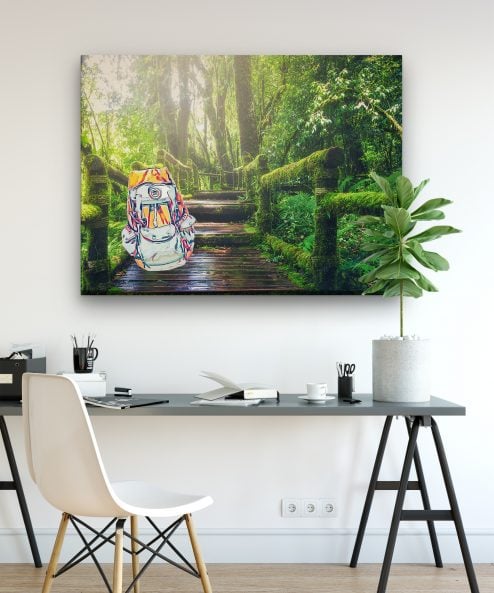 The Jungle is calling - Image 4