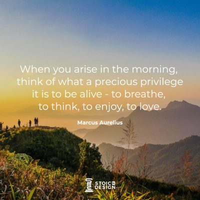 When you arise in the morning, think of what a precious privilege it is to be alive - to breathe, to think, to enjoy, to love. Marcus Aurelius