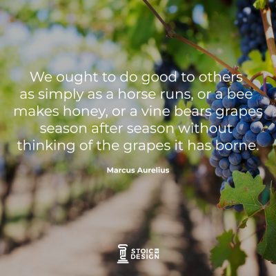 We ought to do good to others as simply as a horse runs, or a bee makes honey, or a vine bears grapes season after season without thinking of the grapes it has borne. Marcus Aurelius