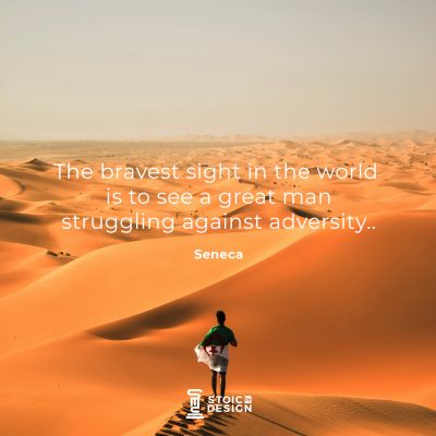 The bravest sight in the world is to see a great man struggling against adversity. Lucius Annaeus Seneca