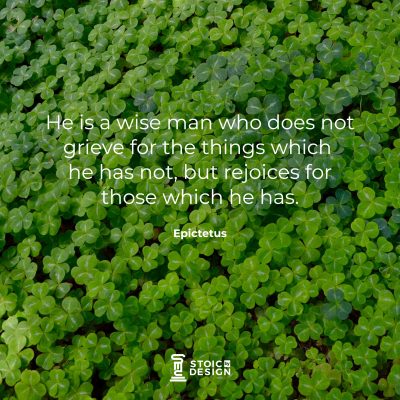 He is a wise man who does not grieve for the things which he has not, but rejoices for those which he has. Epictetus