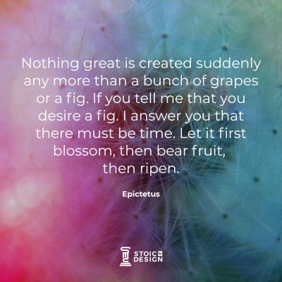 Nothing great is created suddenly, any more than a bunch of grapes or a fig. If you tell me that you desire a fig. I answer you that there must be time. Let it first blossom, then bear fruit, then ripen. Epictetus